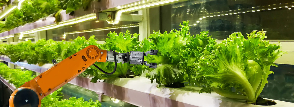 Assumption University collaborates with the University of California, Davis, for a unique PhD program in Food Biotechnology. The program combines faculties, research facilities, and high-tech equipment from both campuses. It aims to equip students with marketable skills and academic foundation for high-tech industries.