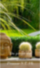 Screenshot_20211104-082915_Chrome