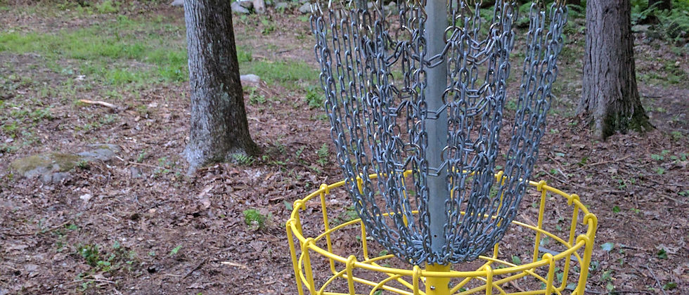 A frisbee golf goal​.