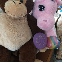 Winter Carnival Without Snow?!