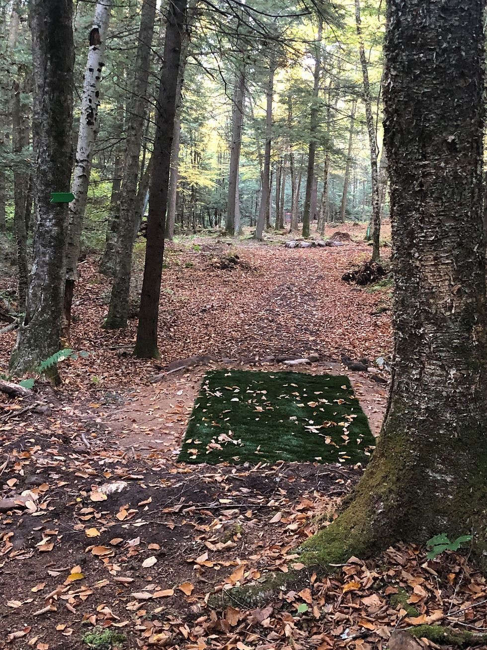 Looking toward the basket from behind the red tee