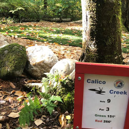 Calico Creek - Hole 9