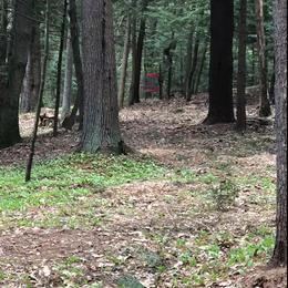 Calico Creek, a New Hole!