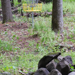 A yellow disc golf score basket.