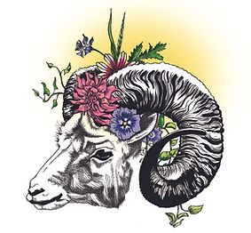 lente bock kleur A4 copy.jpg