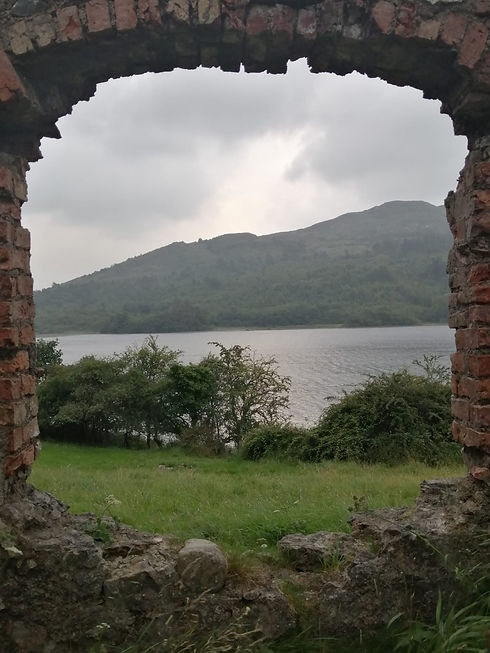 Window to the past relating to DNA Genealogy