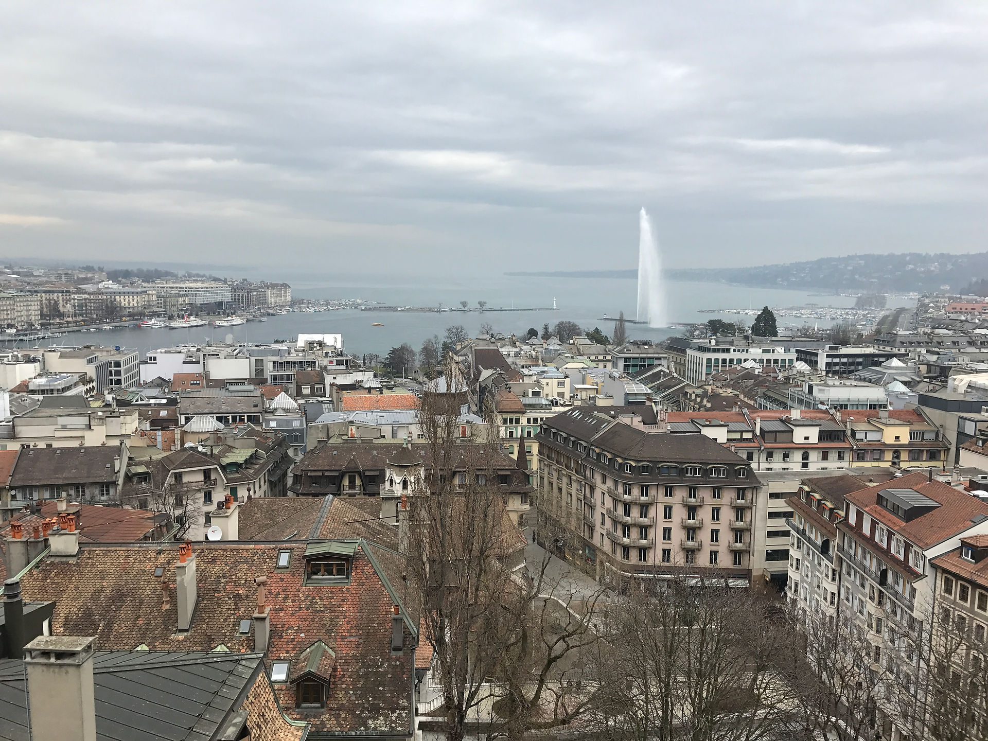 Views from the Cathedral
