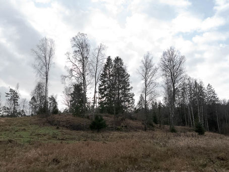 Häståsen under Kråkebacka, Skene