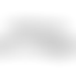 Jubileum 200:e inlägget