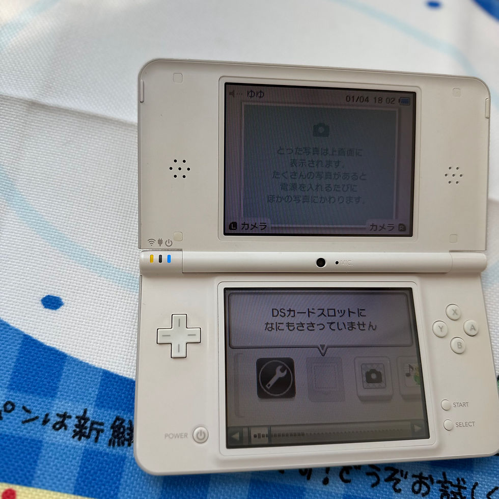 Thumbnail: White NDSI LL+ R4+ 32G (5873)