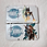Thumbnail: Zelda 3ds 2ds nds case shell collection 