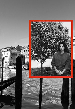 06F5A930-41C4-4638-946F-3131651E8CC5.jpe