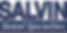 SalvinLogo(2).jpg