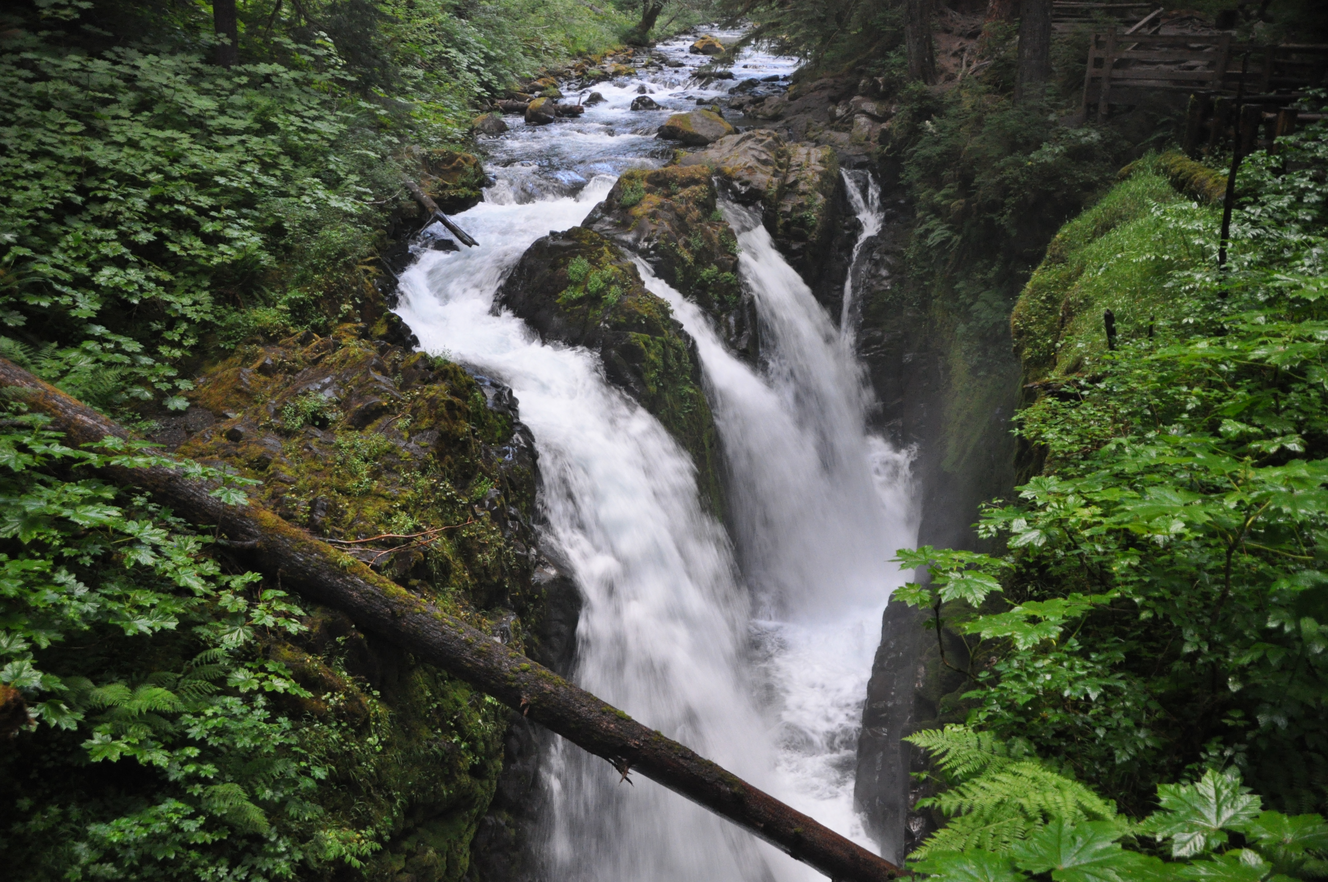 sol duc falls sol duc falls