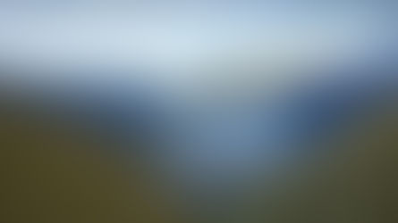 August 31 Livestream