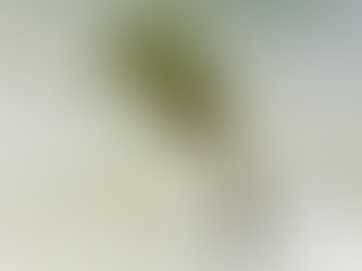 Sea-Changers Grants Focus on Community Involvement and Education