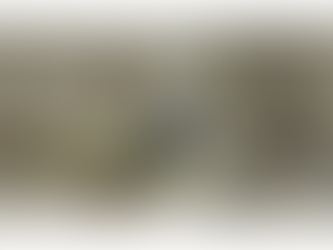 Sea-Changers and River Island team up for Christmas window display