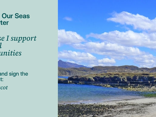 Sea-Changers joins the Our Seas Coalition