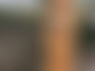 Our Coastal Fountains are installed and ready for you