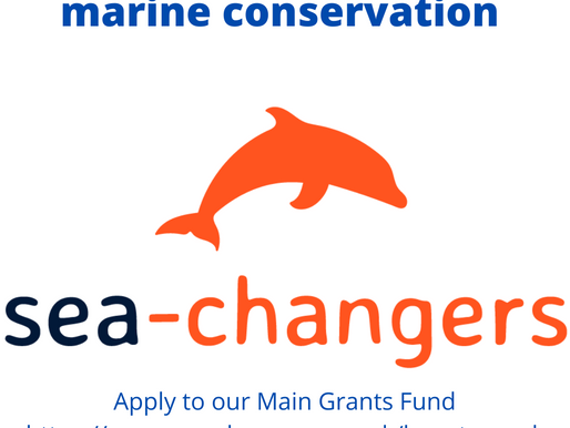 Our main grant fund is open for applications