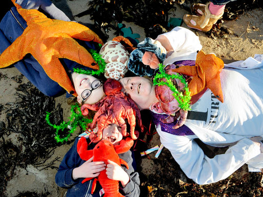 October: Scottish Seabird Centre