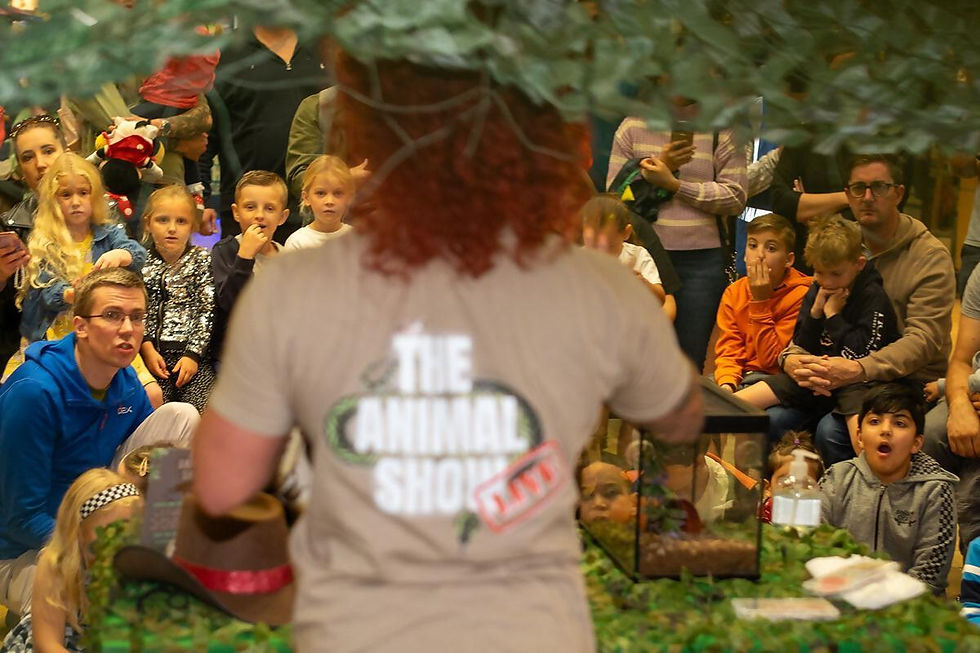 crowd of people watching show