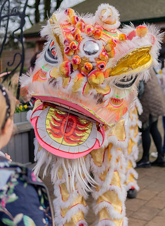 chinese dragon costume