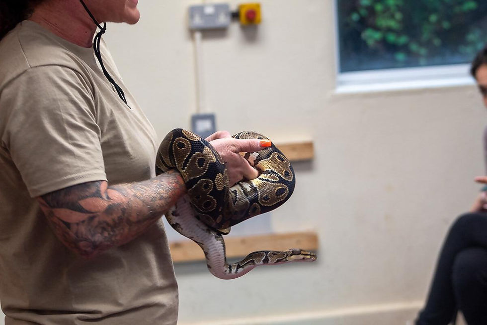 woman holding snake