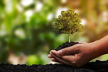 Screenshot 2023-10-24 at 3.11.36 PM.png