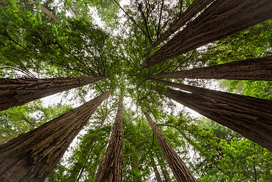 Screenshot 2023-10-24 at 3.12.55 PM.png