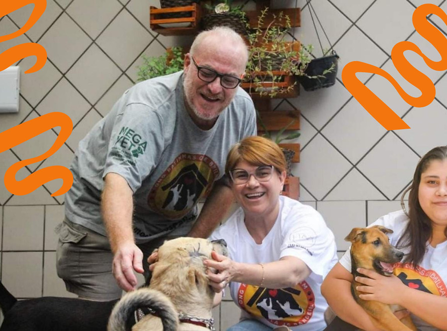 Foto dos voluntários cuidando de alguns animais