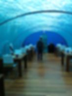 UNDERWATER STRUCTURES 3_edited.jpg