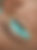 lash lift shields