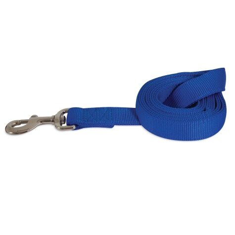 Petmate Nylon Dog Lead 3/8"x4' Royal Blue