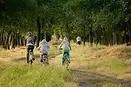 Three children riding bicycles in a tree-lined park representing NT school holidays in 2024