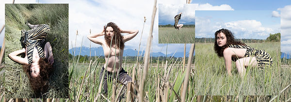 9AngieNguyen_MovementinMourning_anamal6x2.jpg