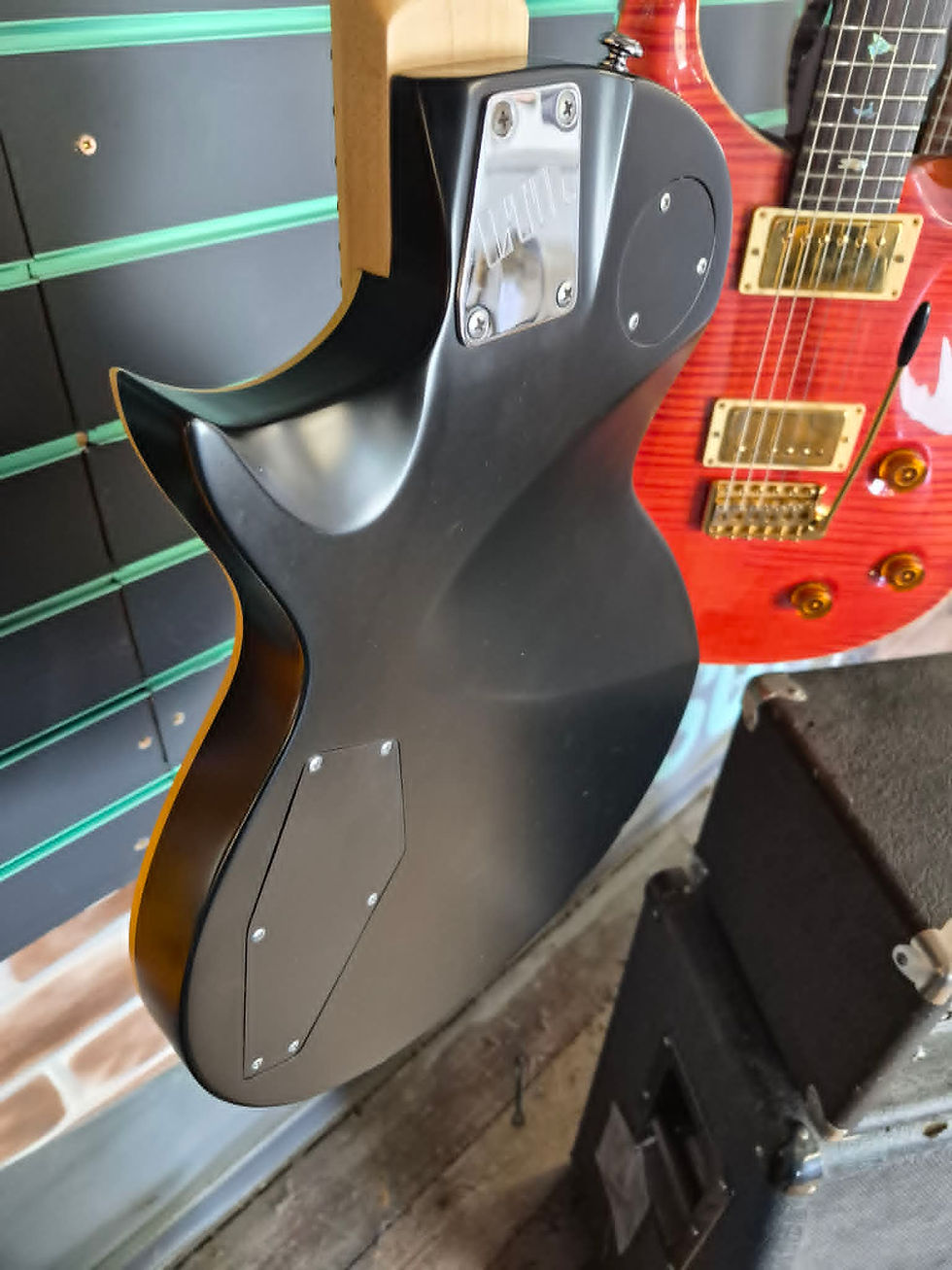 Thumbnail: ESP LTD WA-200 Warbird Distressed Graphic 2016 Electric Guitar