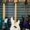 Thumbnail: Fender Player Precision Bass Polar White 2022 Electric Bass