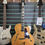Thumbnail: D’Angelico New Yorker NYL-4 Hollowbody Electric Guitar