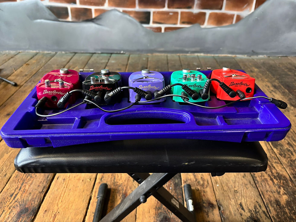 Thumbnail: Danelectro DJ Food Series Guitar Effects Pedal Case