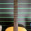 Thumbnail: Breedlove Passport C200/SMP Natural Semi-Gloss 2010 Acoustic Guitar