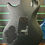 Thumbnail: PRS SE Tremonti Custom Stealth Quilt Satin LTD 2018 Electric Guitar
