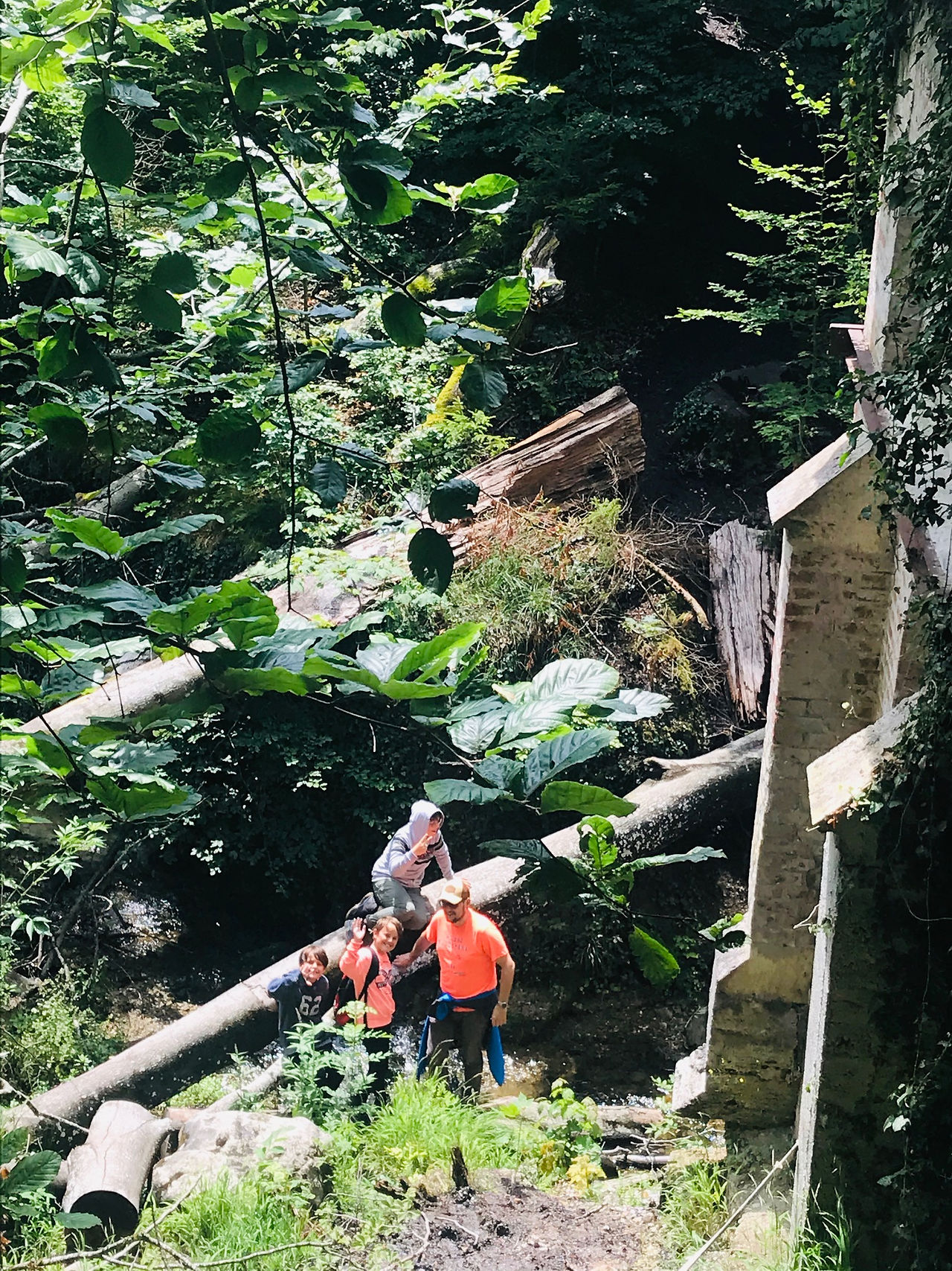 Pähler Schlucht am Pumpwerk klettern