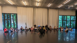 theatre directing certificate course, theatre diploma program, theatre directing diploma, performance studies, performance art studies, performance making diploma, postgraduate studies in theatre directing, postgraduate performing arts studies, postgraduate programs in performing arts, postgraduate programs in performing arts in Germany, postgraduate programs in performing arts in Europe, postgraduate programs in performing arts in Austria, theatre directing postgraduate program, theater directing internship, theater directing certificate program, theatre directing internship