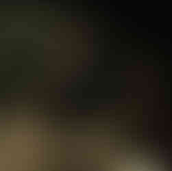 Ostrenko Brothers Method