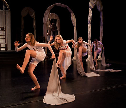 Professional Movement Directing Certification