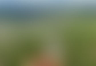 Vielen Dank für den Besuch an unserer Degu 2025!