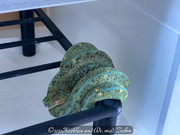 IMG_9486.JPG
