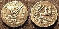 SAUFEIA 1