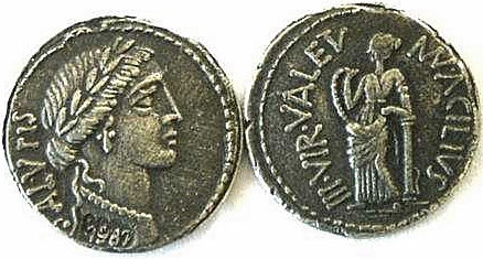 ACILIA 8